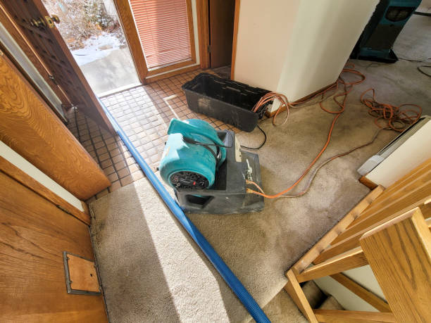 Best Sewage cleanup and water damage restoration  in Rome City, IN