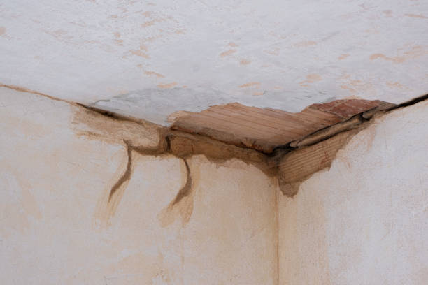 Best Basement water damage restoration  in Rome City, IN