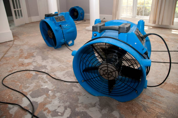 Best Commercial water damage restoration  in Rome City, IN