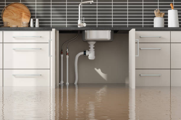 Best Flood damage cleanup  in Rome City, IN